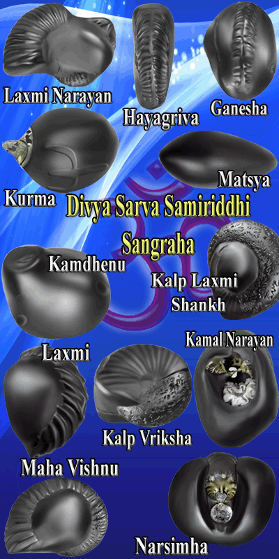 Exotic Divya Sarva Samriddhi Sangraha-ESSS001